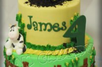 John Deer Cake
